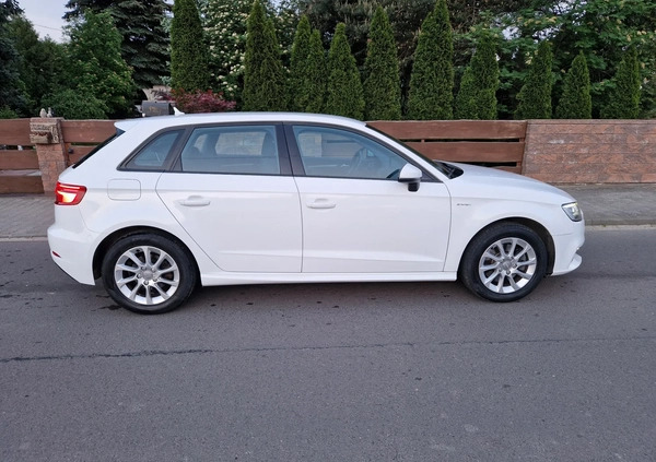 Audi A3 cena 69999 przebieg: 72310, rok produkcji 2017 z Leszno małe 254